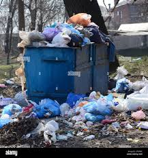 Professional Junk Removal in Cloverleaf, TX